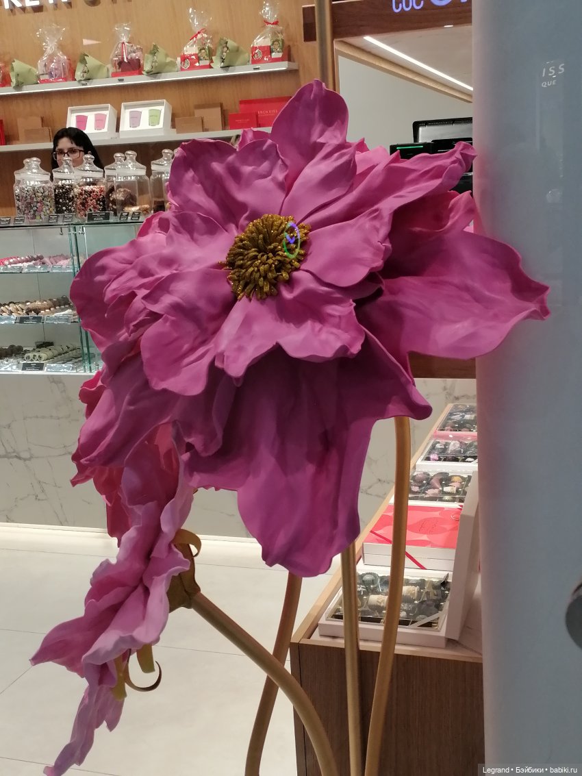 Санкт-Петербург: прогулка с Ванилькой | Бэйбики Санкт-Петербург: прогулка с Ванилькой