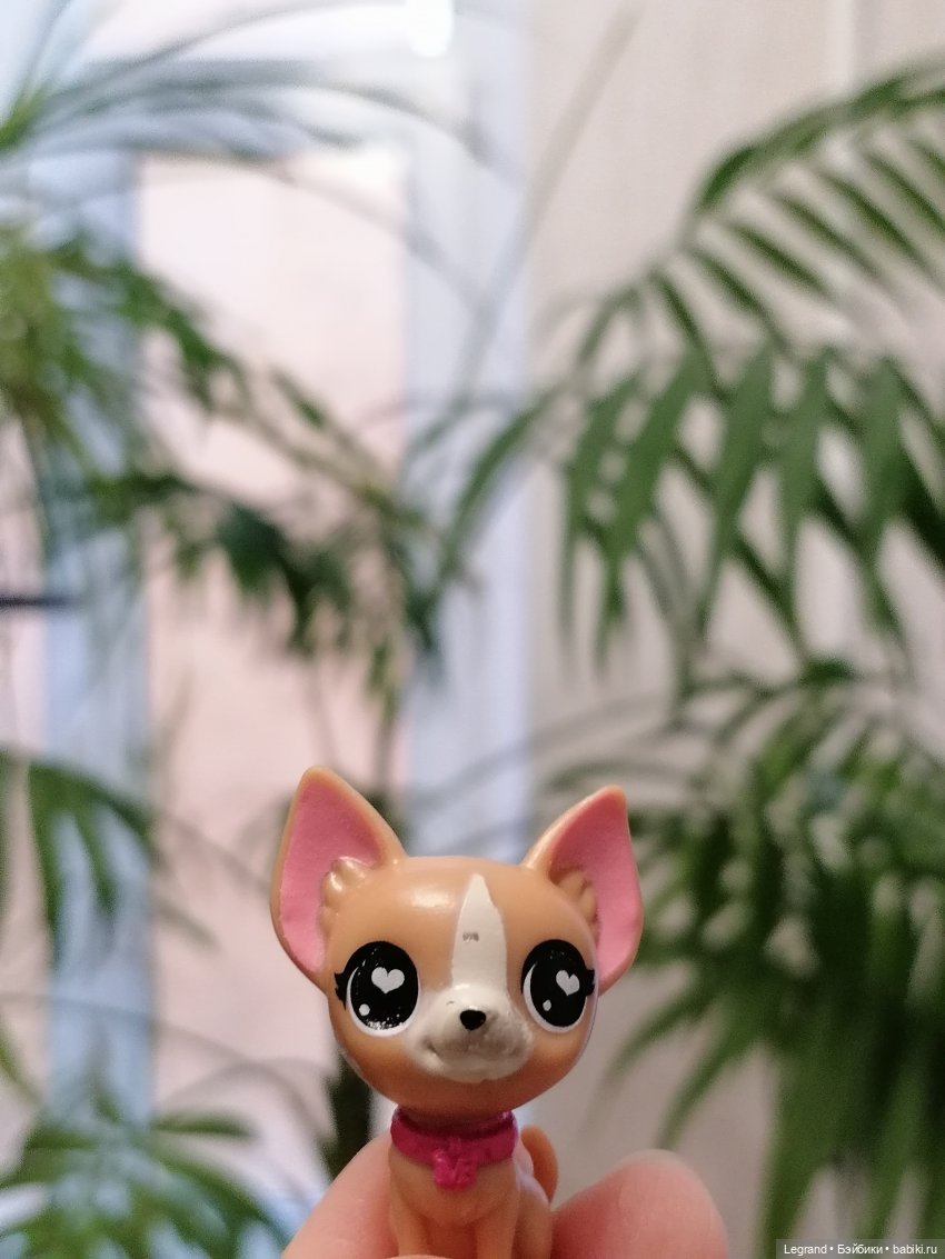 Санкт-Петербург: прогулка с Ванилькой | Бэйбики Санкт-Петербург: прогулка с Ванилькой