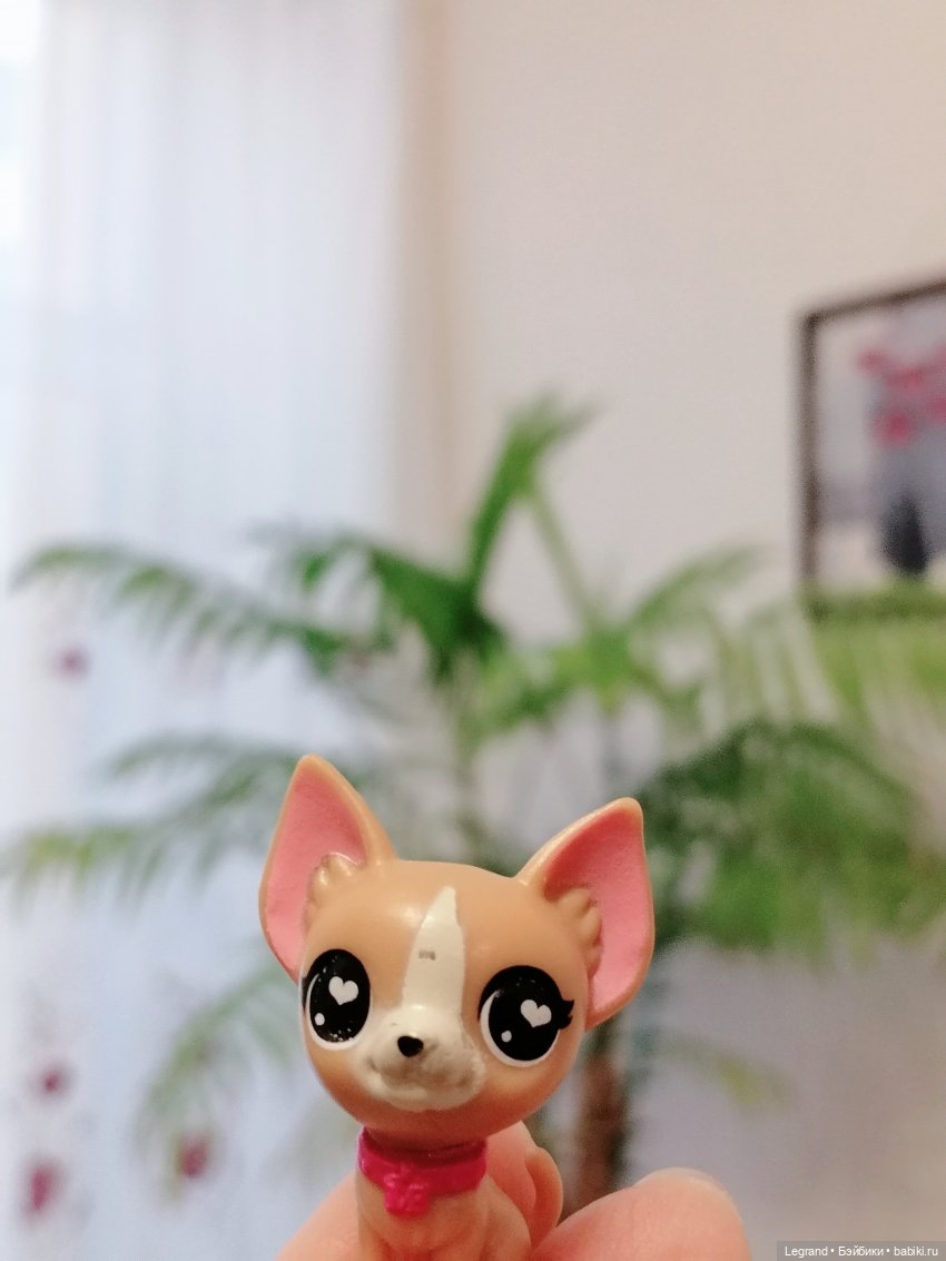 Санкт-Петербург: прогулка с Ванилькой | Бэйбики Санкт-Петербург: прогулка с Ванилькой (фото 3)