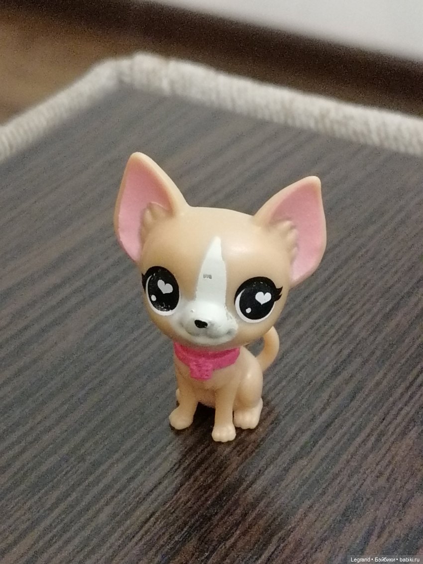 Санкт-Петербург: прогулка с Ванилькой | Бэйбики Санкт-Петербург: прогулка с Ванилькой