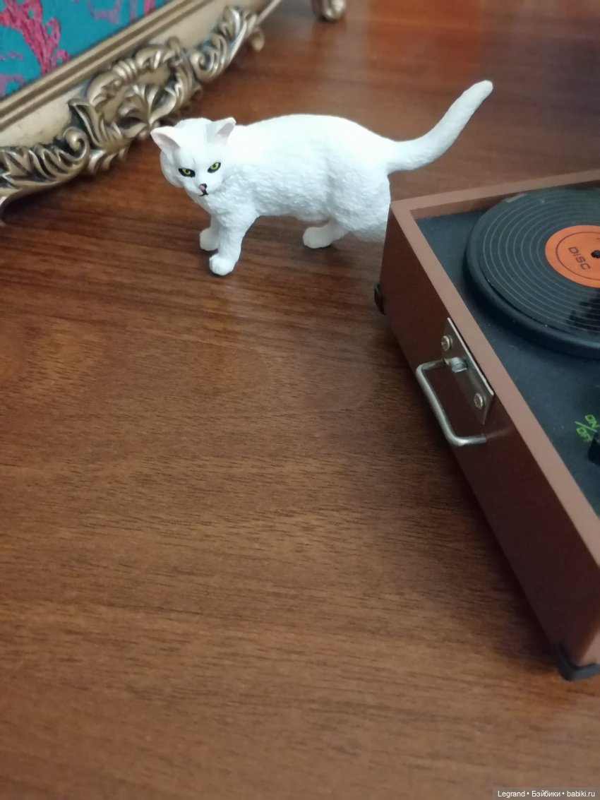 Они сами пишут свои истории: Гёнюль на вилле - виниловые пластинки (фото 9)