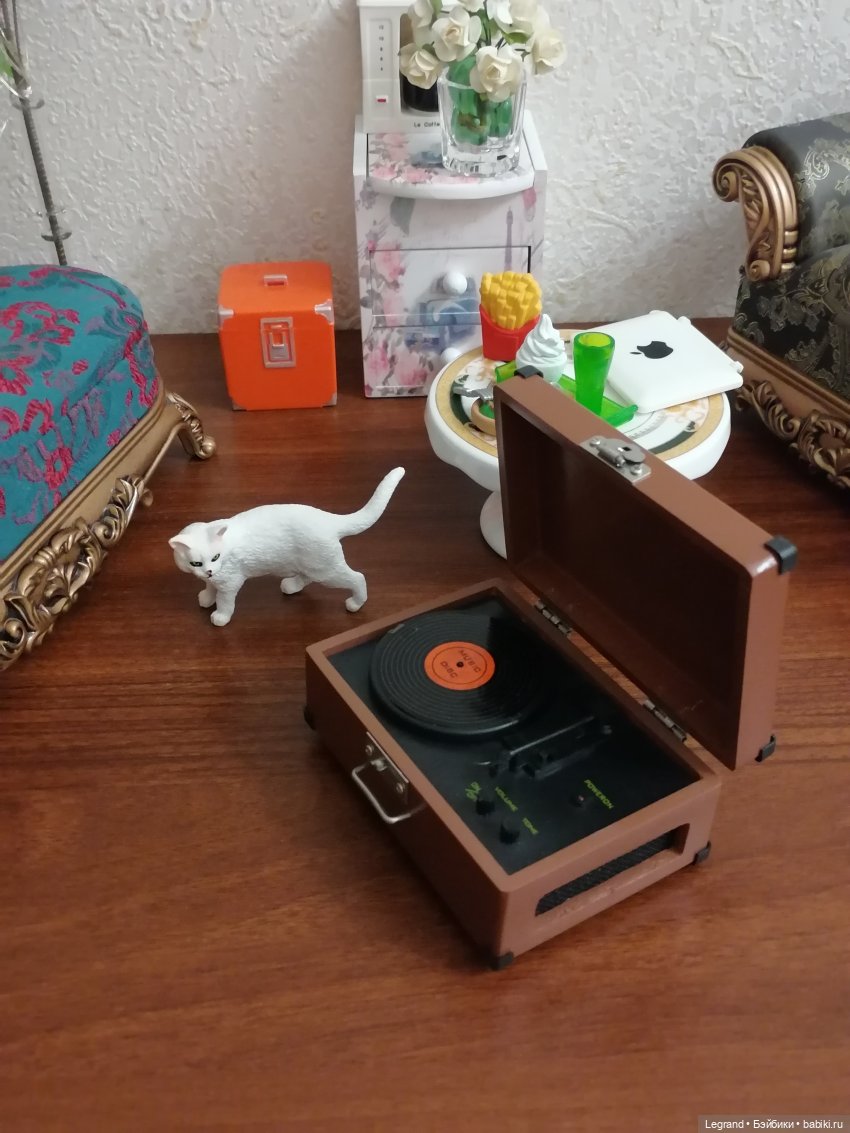 Они сами пишут свои истории: Гёнюль на вилле - виниловые пластинки (фото 8)