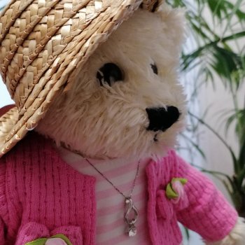 Из жизни моих мишек: Пембе в провинции Лурении🤗