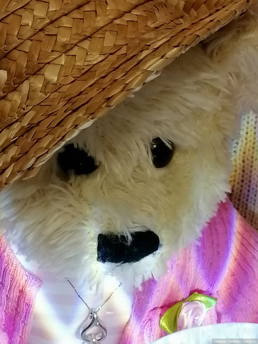 Из жизни моих мишек: Пембе