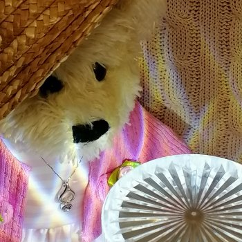 Из жизни моих мишек: Пембе