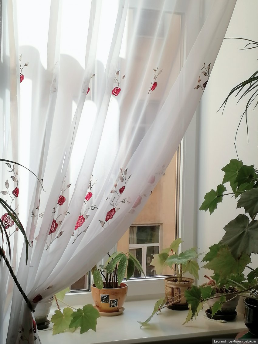 Разговор с Ванилькой🤗 — Интересные игрушки и фигурки (разное): редкие (фото 10)