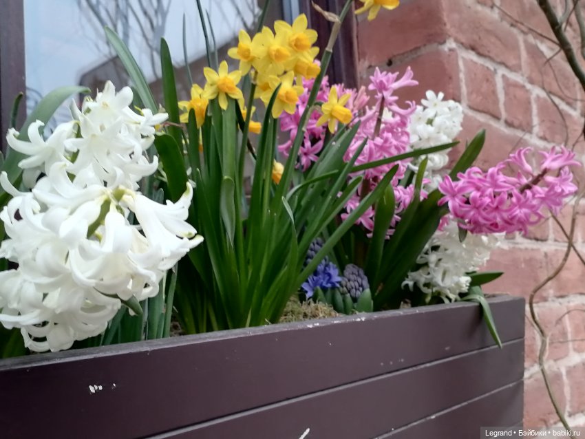 Разговор с Ванилькой🤗 — Интересные игрушки и фигурки (разное): редкие