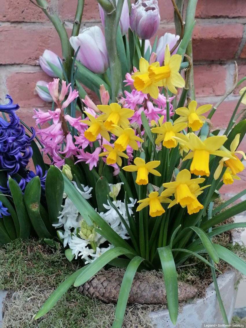 Разговор с Ванилькой🤗 — Интересные игрушки и фигурки (разное): редкие