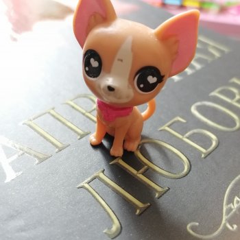 Разговор с Ванилькой🤗