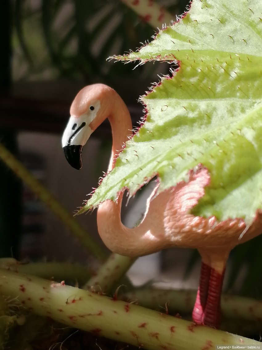 Лурения: апрельские прогулки в провинции Йешильбахче и не только🌴 (фото 5)