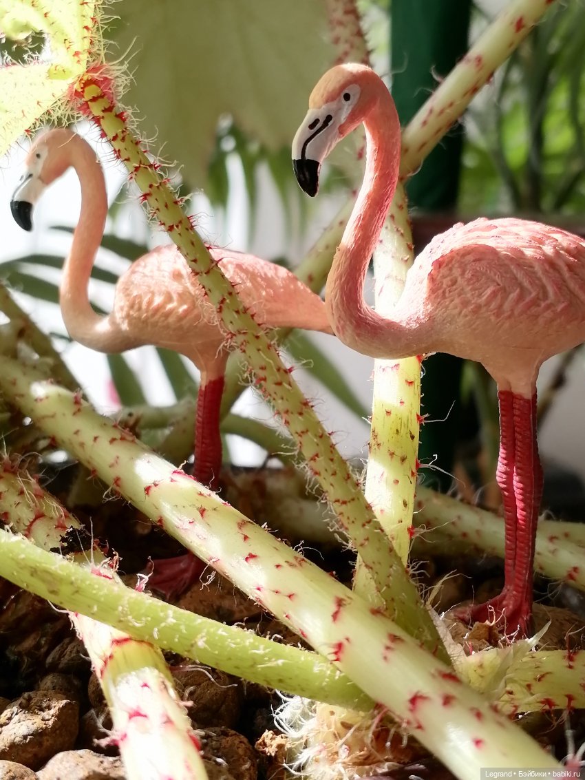 Лурения: апрельские прогулки в провинции Йешильбахче и не только🌴 (фото 7)