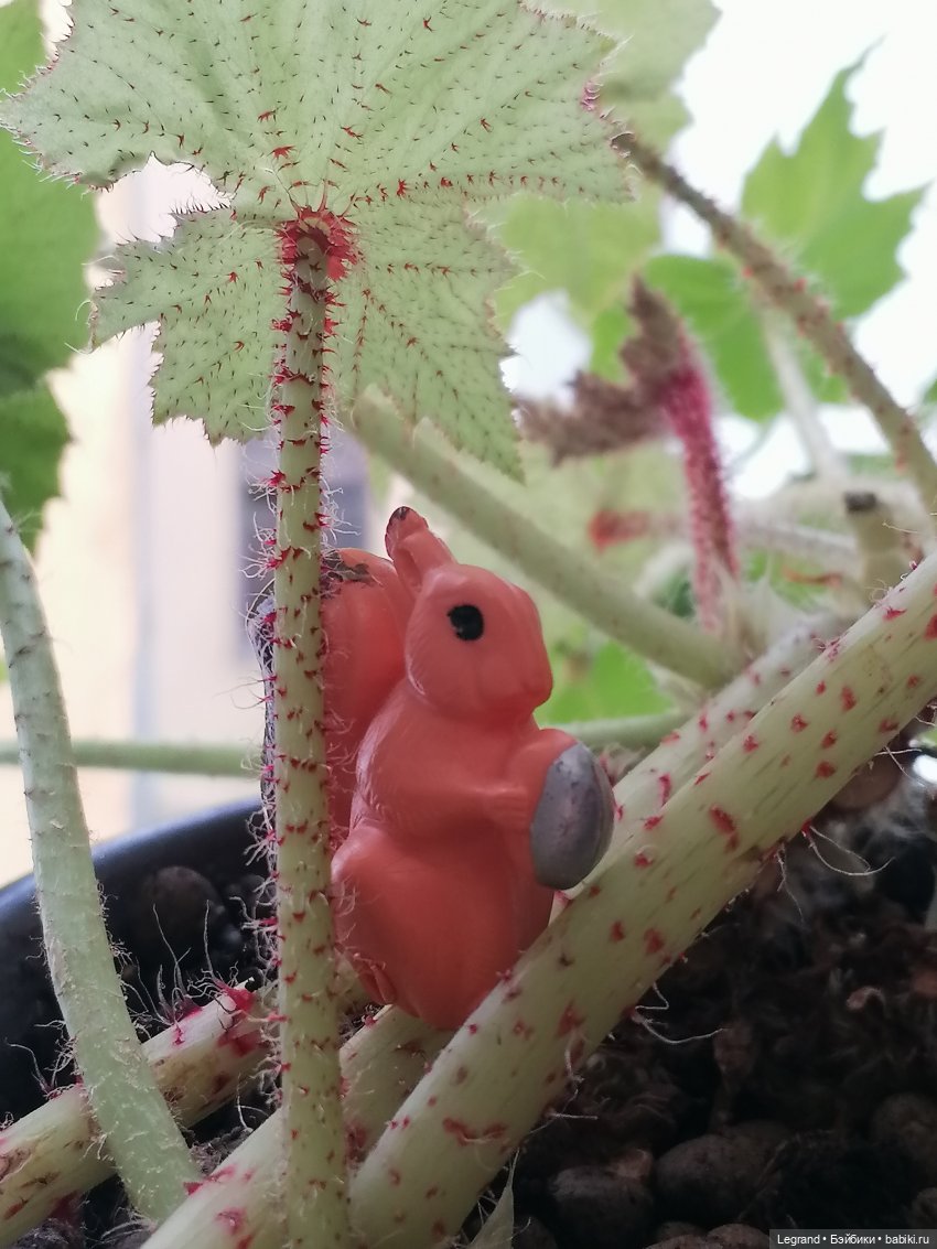 Лурения: апрельские прогулки в провинции Йешильбахче и не только🌴