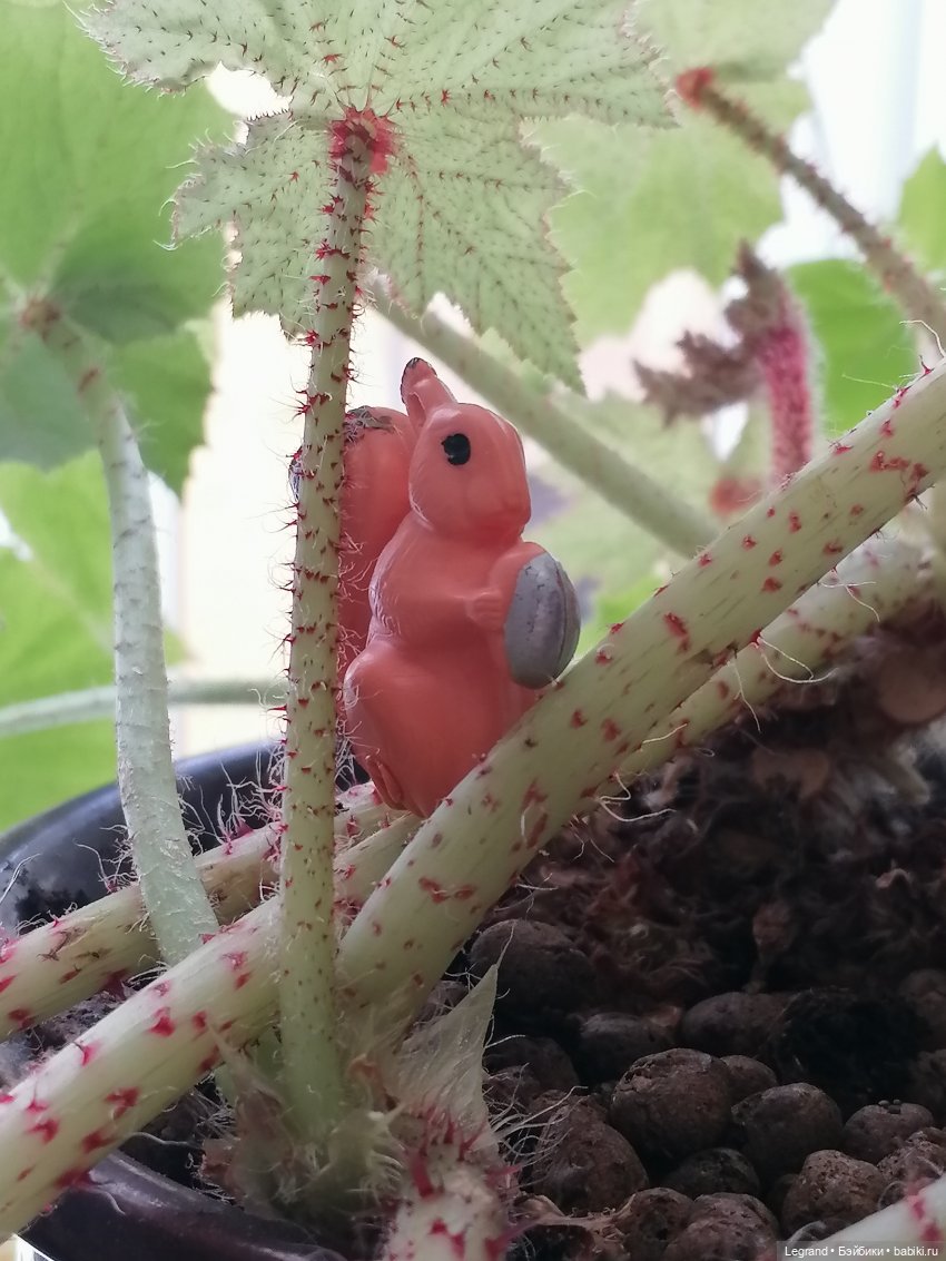 Лурения: апрельские прогулки в провинции Йешильбахче и не только🌴