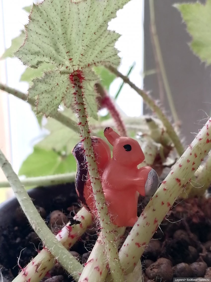 Лурения: апрельские прогулки в провинции Йешильбахче и не только🌴