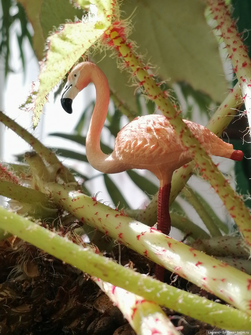 Лурения: апрельские прогулки в провинции Йешильбахче и не только🌴 (фото 6)