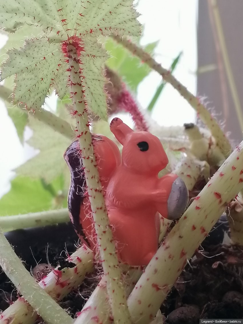 Лурения: апрельские прогулки в провинции Йешильбахче и не только🌴