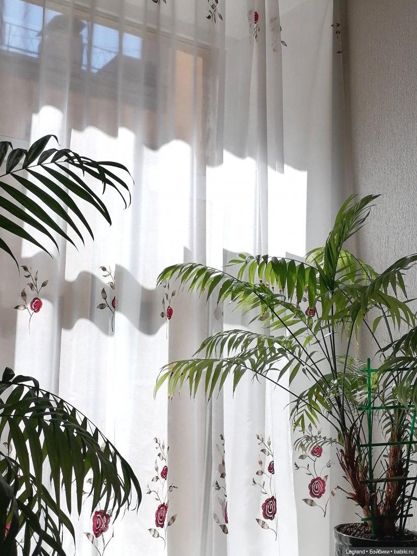 Лурения: апрельские прогулки в провинции Йешильбахче и не только🌴