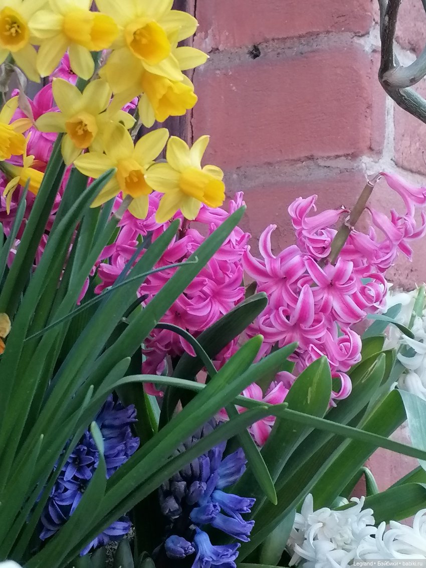 Лурения: апрельские прогулки в провинции Йешильбахче и не только🌴