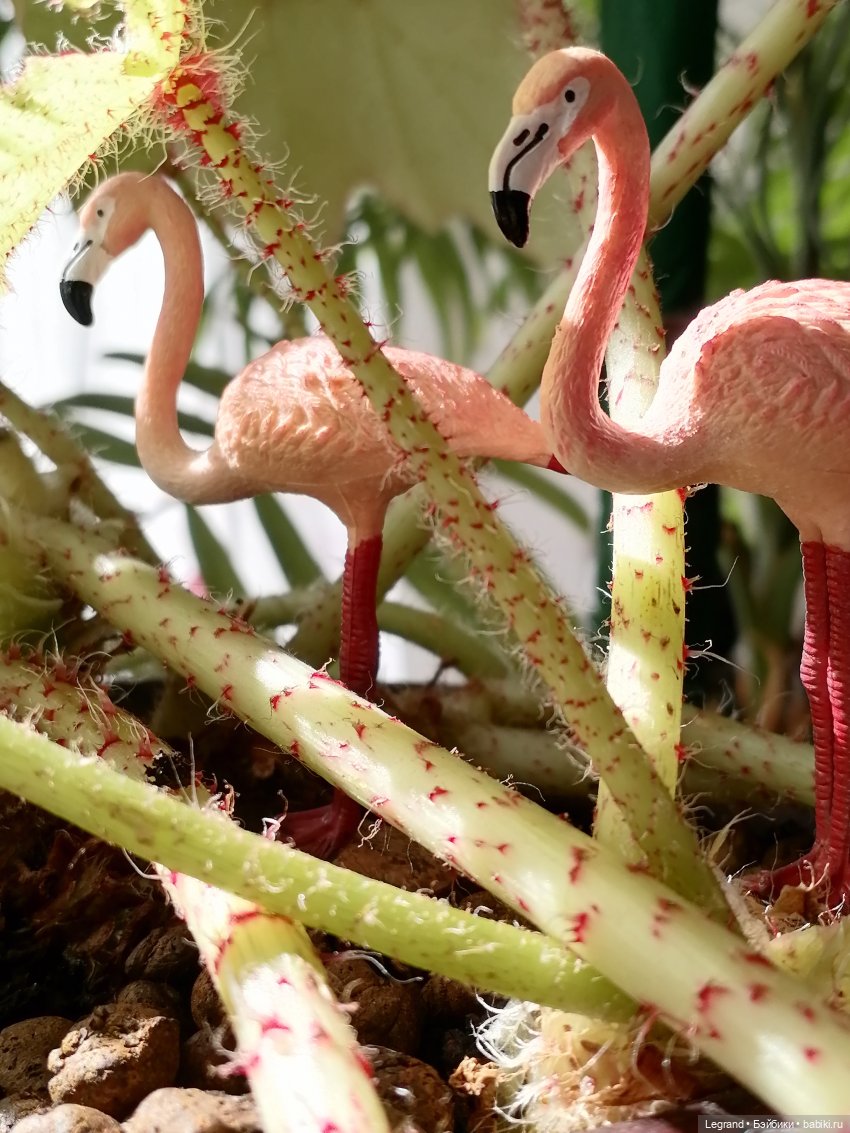 Лурения: апрельские прогулки в провинции Йешильбахче и не только🌴 (фото 8)