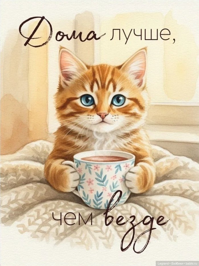 Где-то не здесь, в Городе котов и кошек...🤗