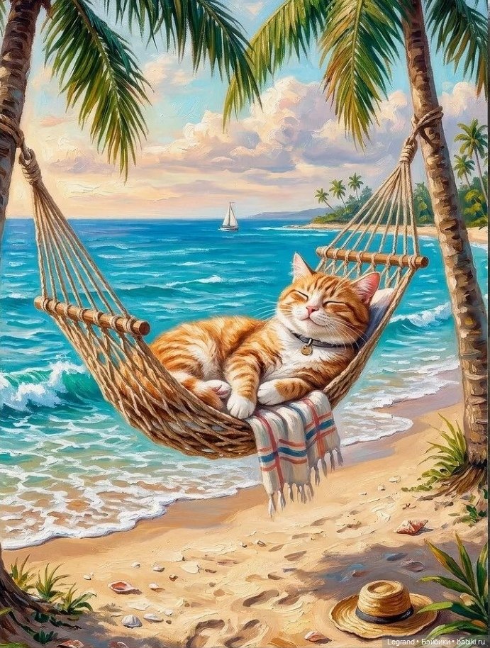 Где-то не здесь, в Городе котов и кошек...🤗