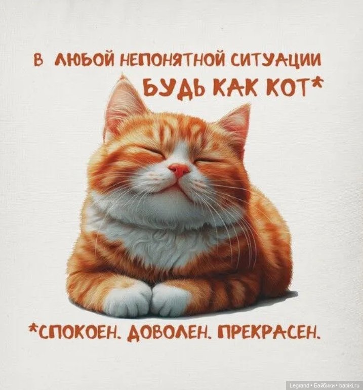 Где-то не здесь, в Городе котов и кошек...🤗