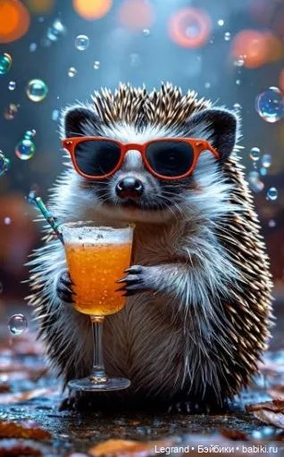 В мире забавных животных🤗 (фото 7)