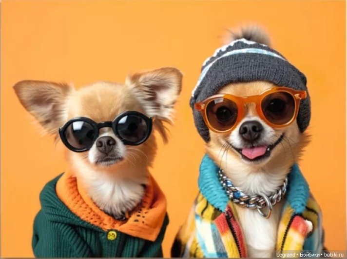 В мире забавных животных🤗 (фото 10)