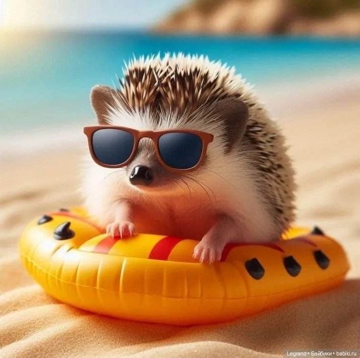 В мире забавных животных🤗 (фото 8)