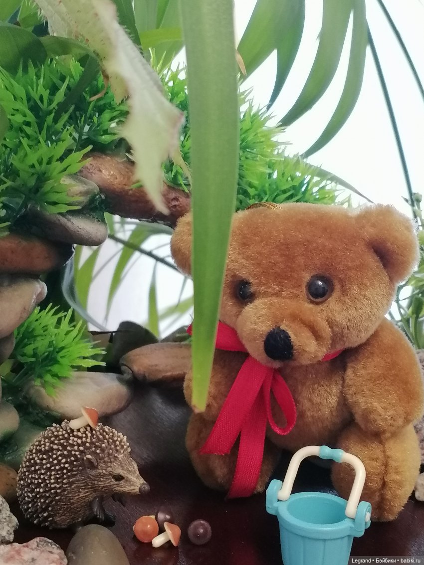 Из жизни моих мишек: Мишель, Стефан и ёжик Санни