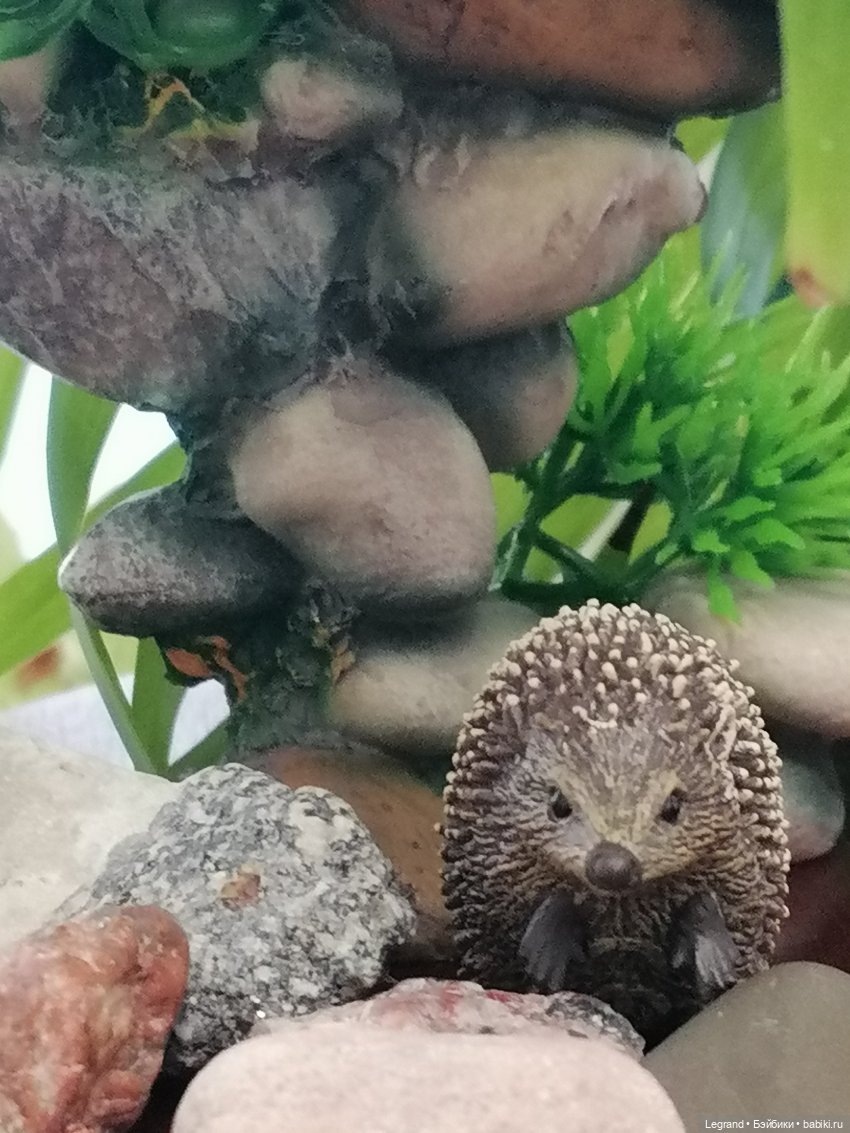 Из жизни моих мишек: Мишель, Стефан и ёжик Санни (фото 10)