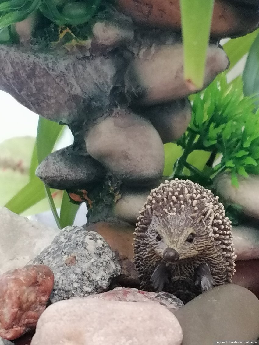 Из жизни моих мишек: Мишель, Стефан и ёжик Санни