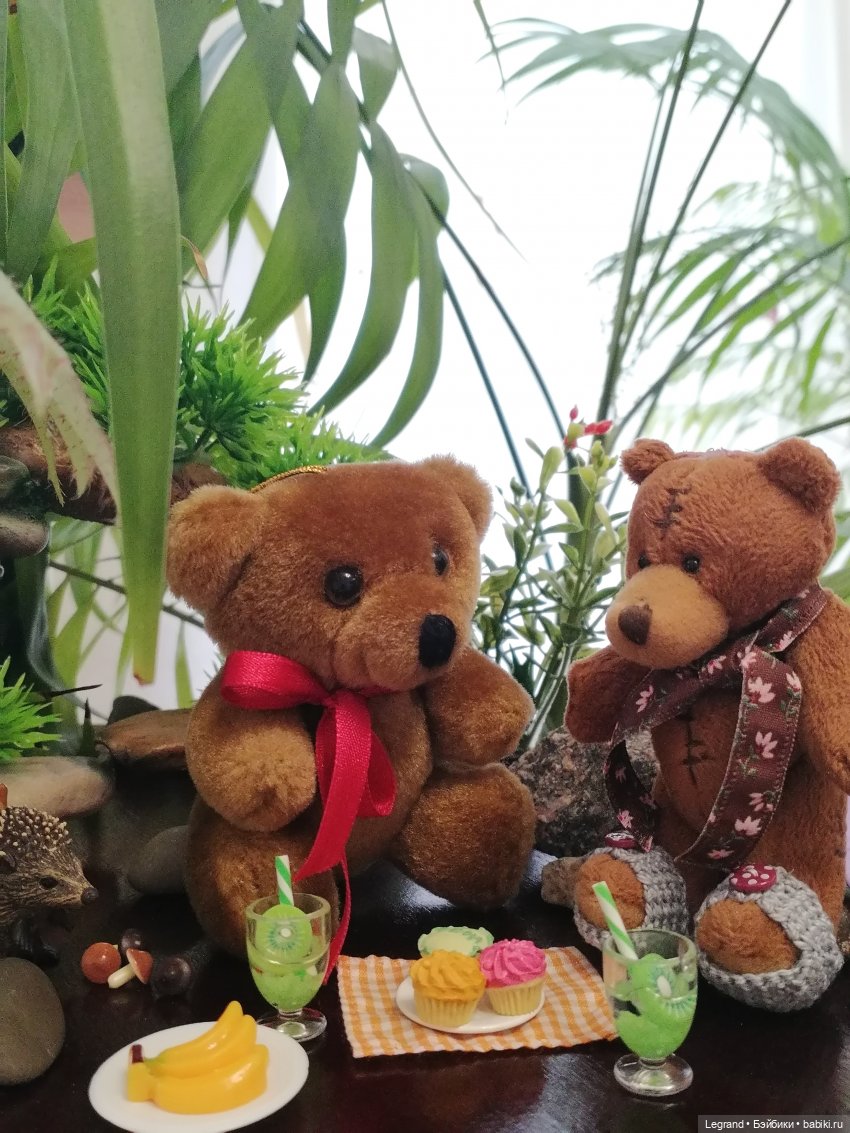 Из жизни моих мишек: Мишель, Стефан и ёжик Санни