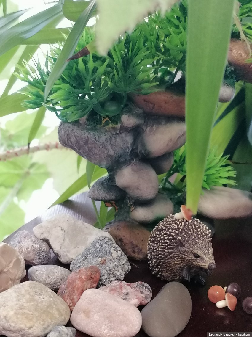 Из жизни моих мишек: Мишель, Стефан и ёжик Санни