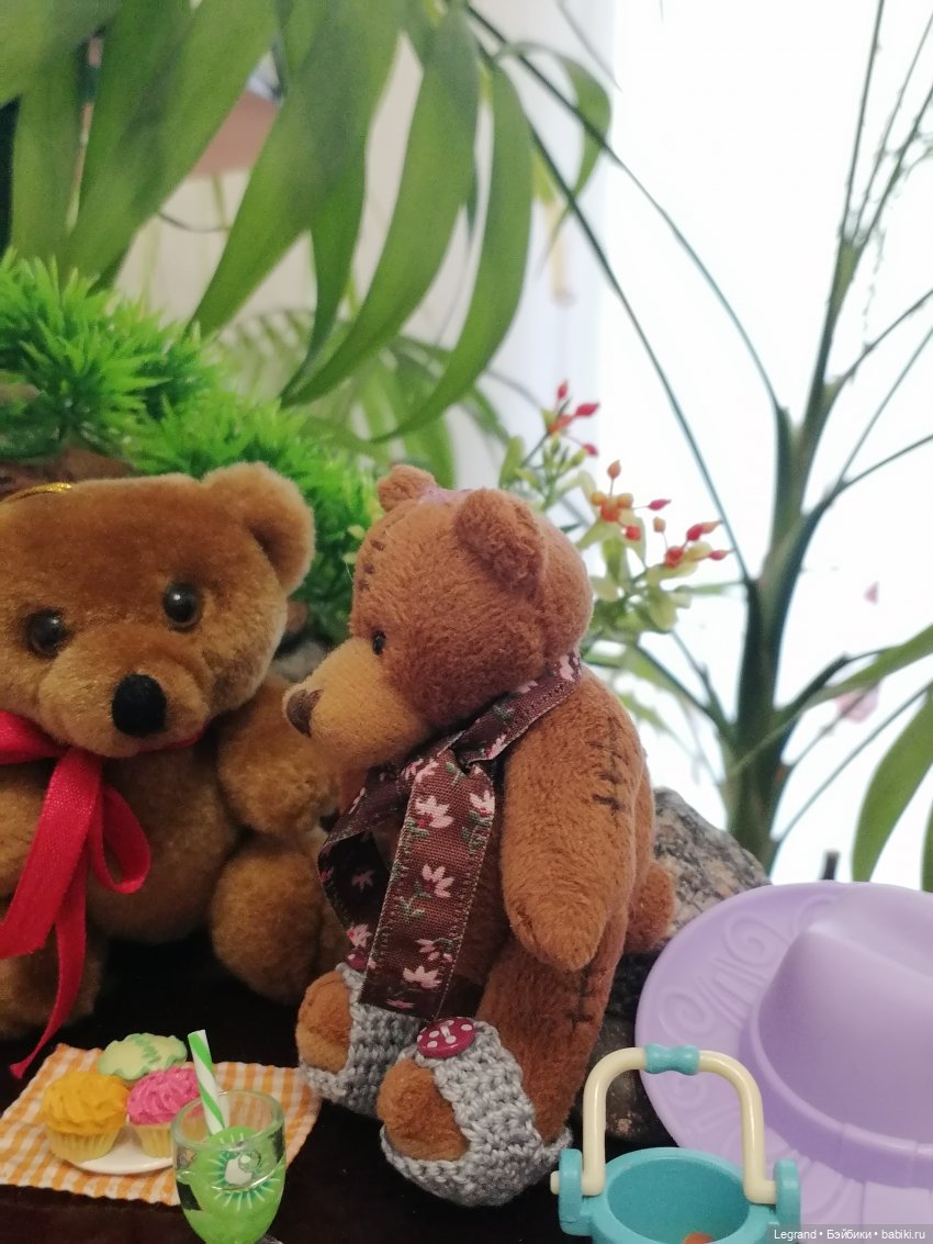 Из жизни моих мишек: Мишель, Стефан и ёжик Санни