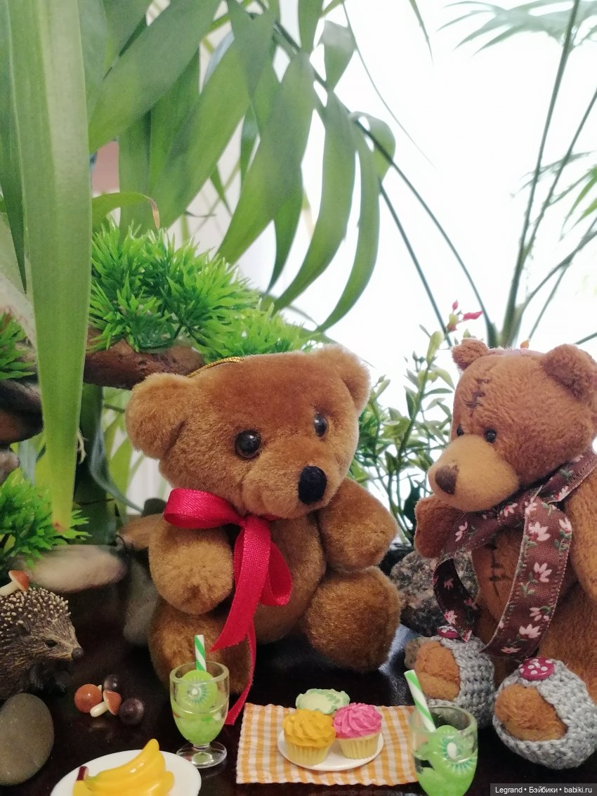 Из жизни моих мишек: Мишель, Стефан и ёжик Санни