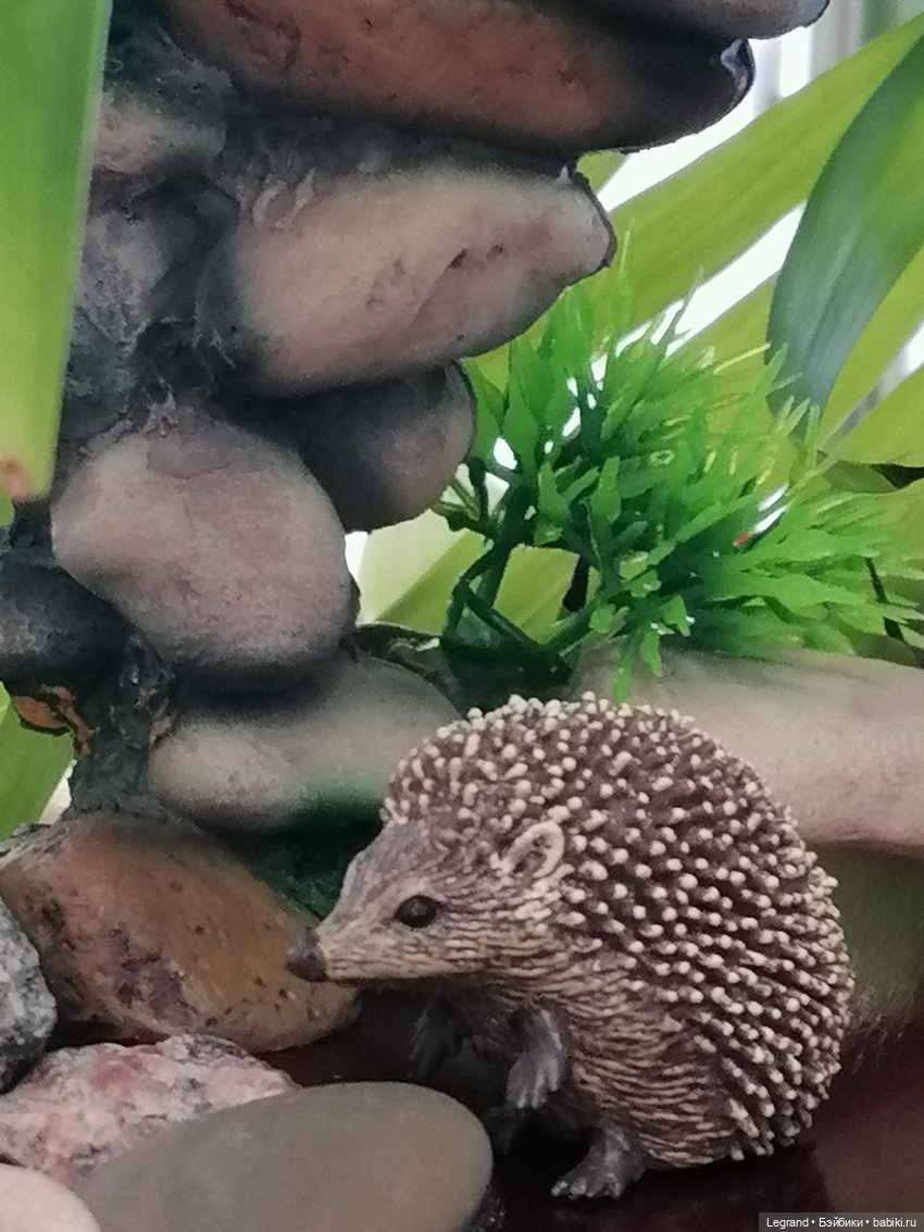 Из жизни моих мишек: Мишель, Стефан и ёжик Санни (фото 6)