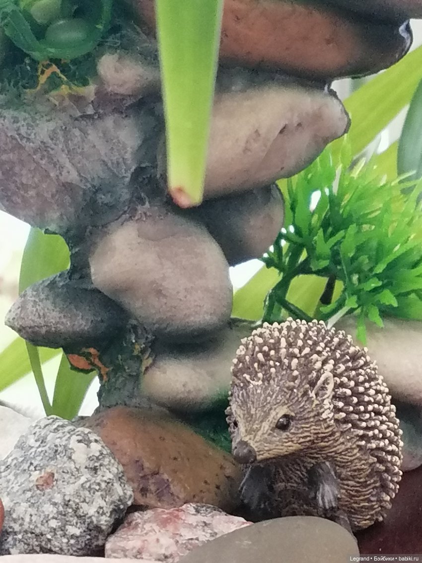 Из жизни моих мишек: Мишель, Стефан и ёжик Санни (фото 7)