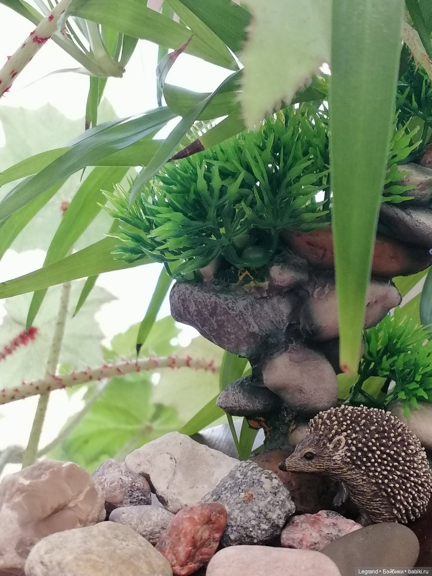 Из жизни моих мишек: Мишель, Стефан и ёжик Санни (фото 8)