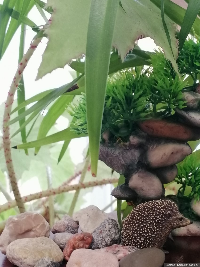 Из жизни моих мишек: Мишель, Стефан и ёжик Санни (фото 9)