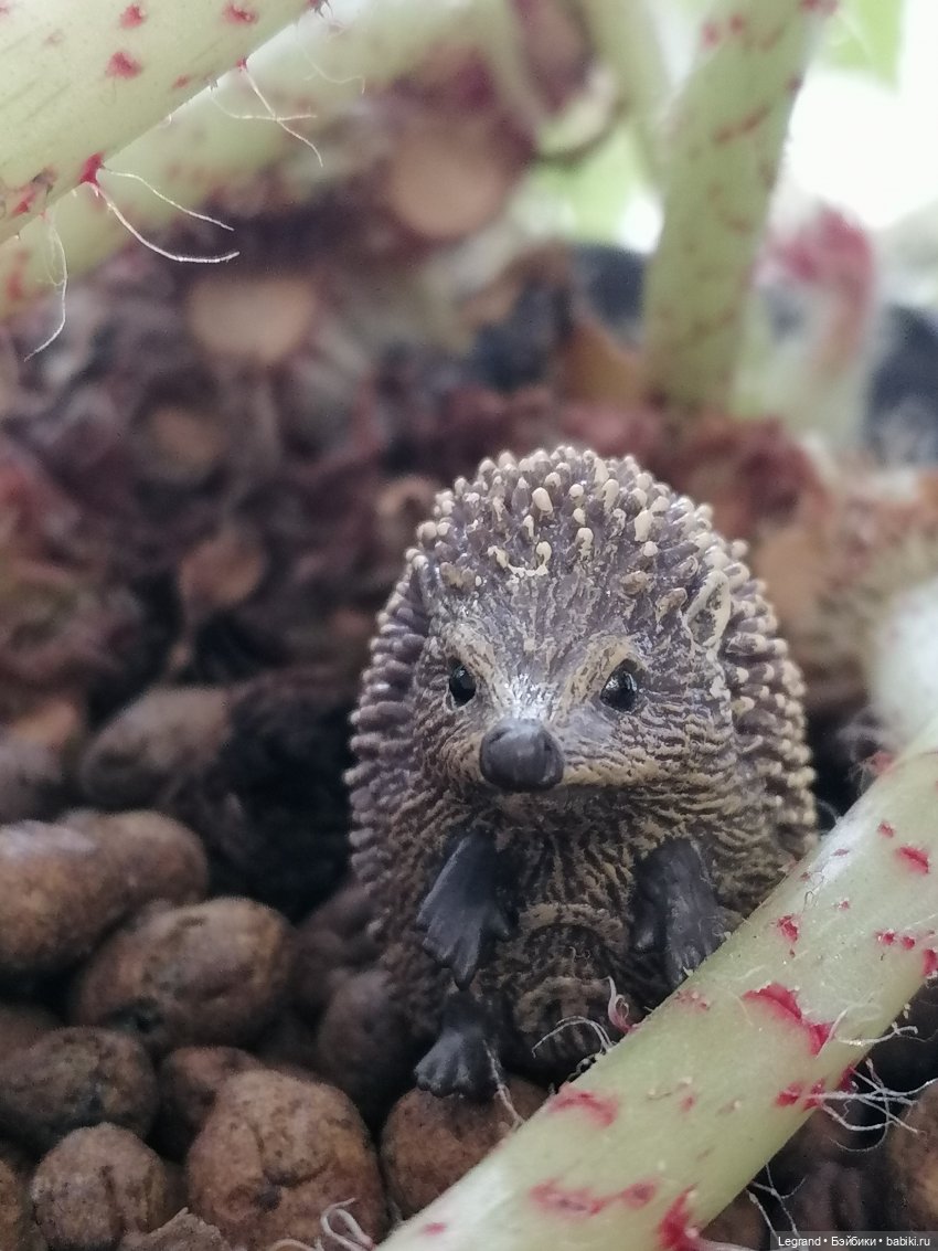 Из жизни моих мишек: Мишель, Стефан и ёжик Санни (фото 3)