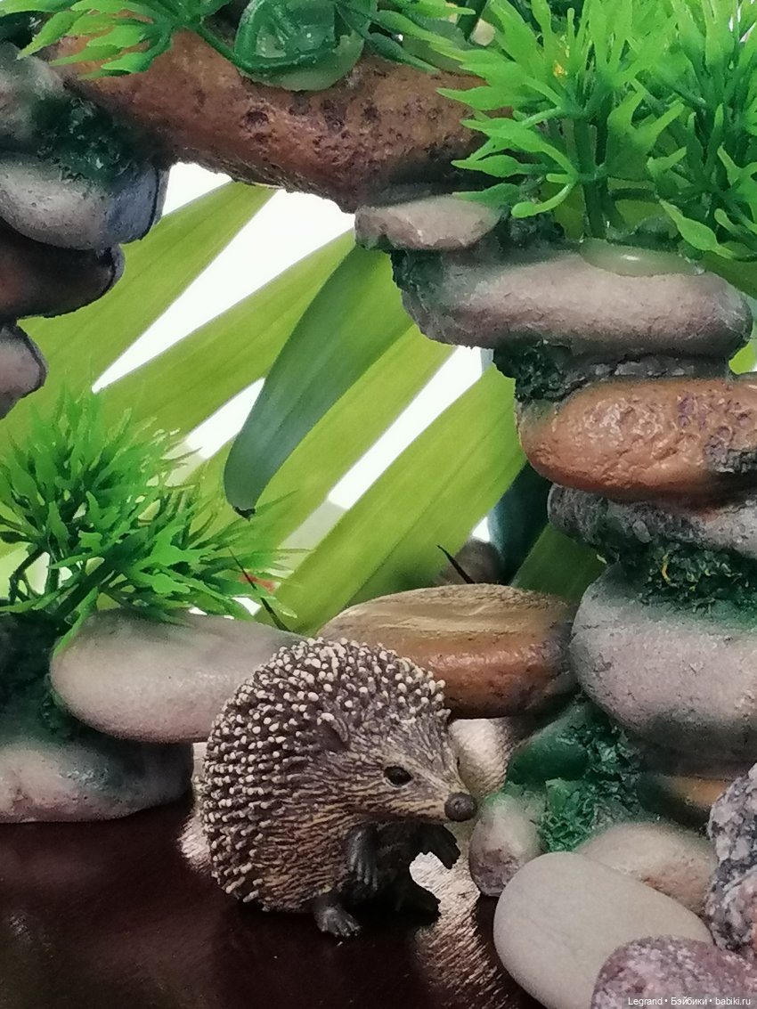 Из жизни моих мишек: Мишель, Стефан и ёжик Санни (фото 5)