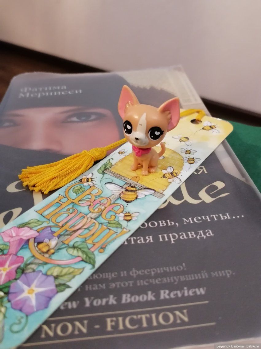 Ванилька и я🤗 — Другие интересные игрушки