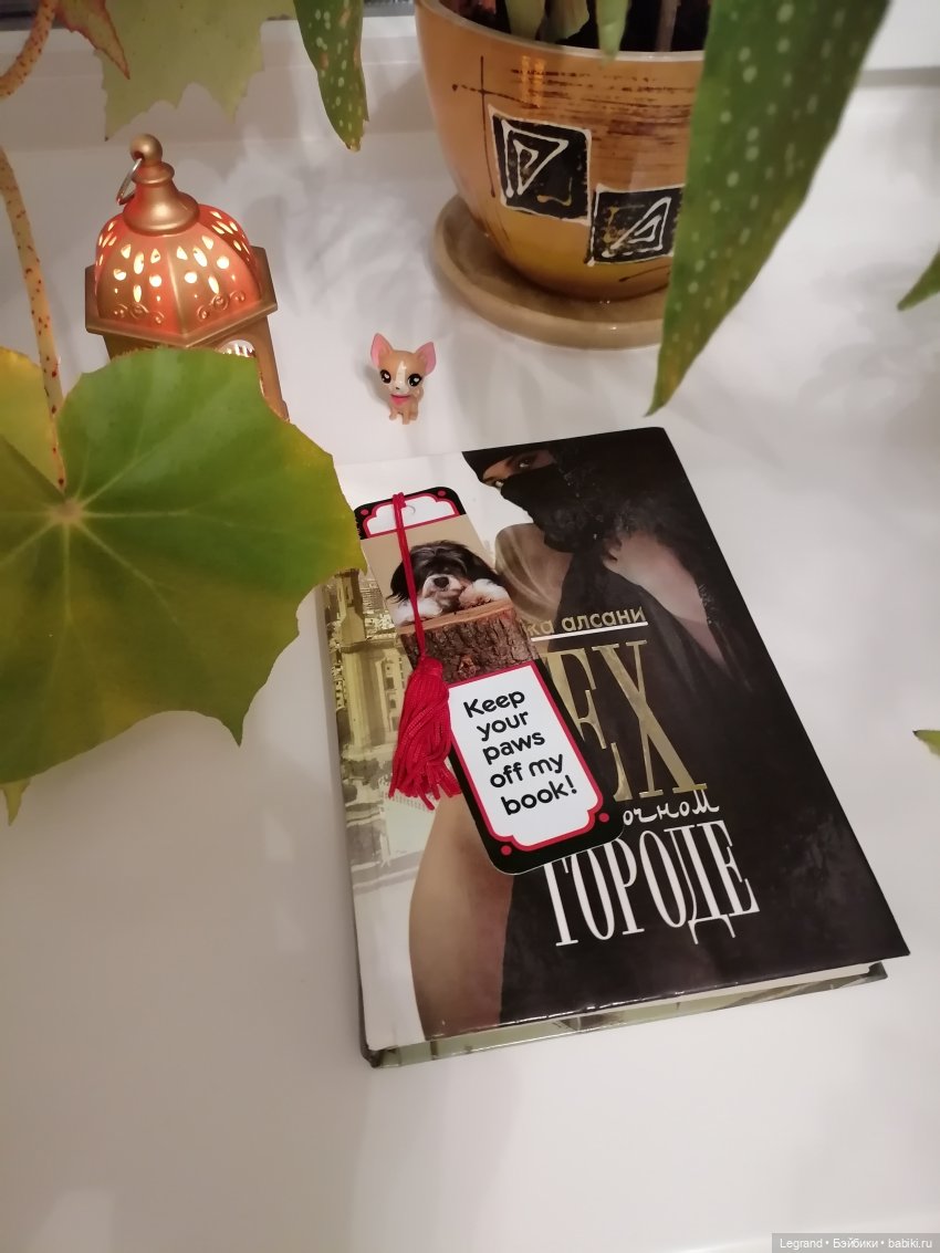Ванилька и я🤗 — Другие интересные игрушки