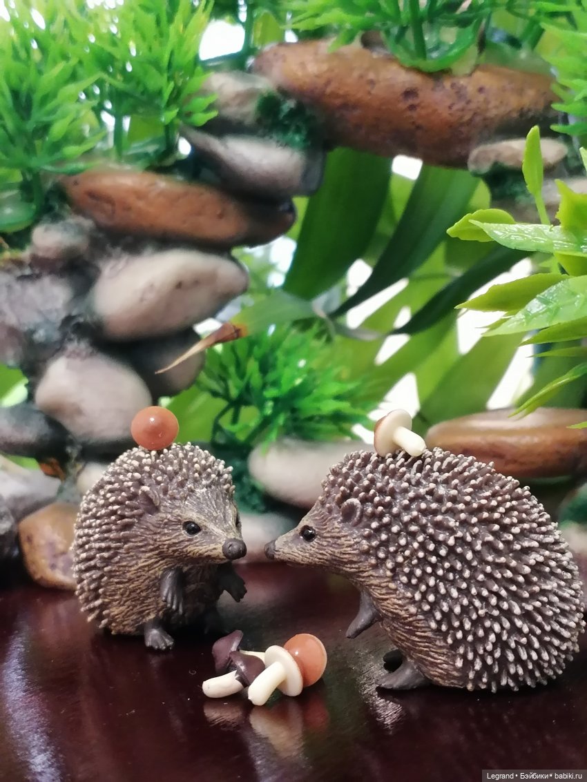 Лурения - Йешильбахче: питомцы на прогулке и новые приобретения