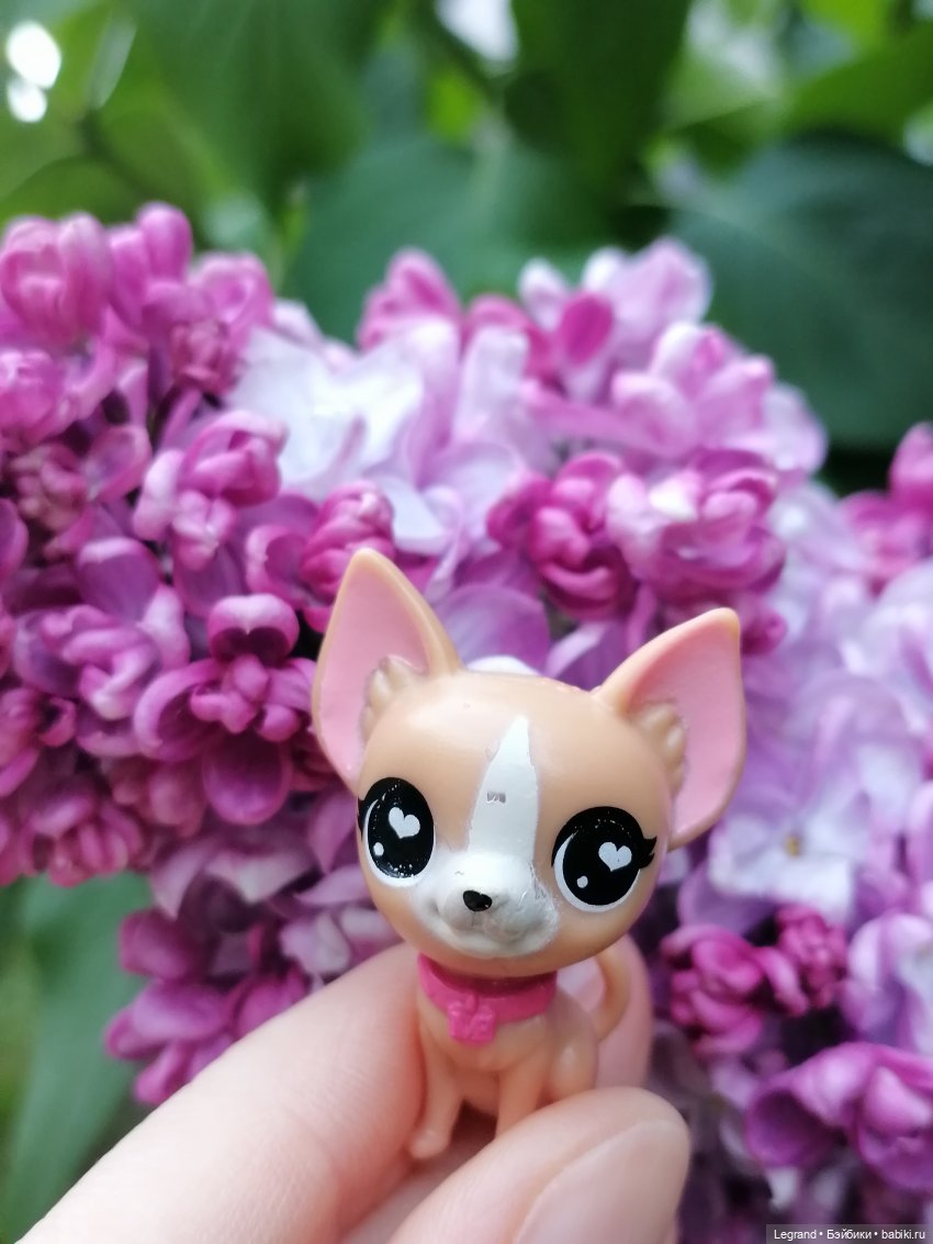Санкт-Петербург: Ванилька в Парадном🌸