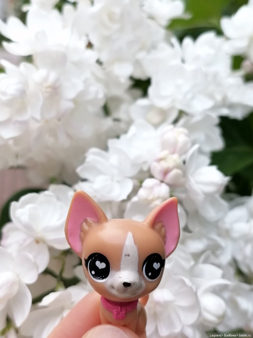 Санкт-Петербург: Ванилька в Парадном🌸
