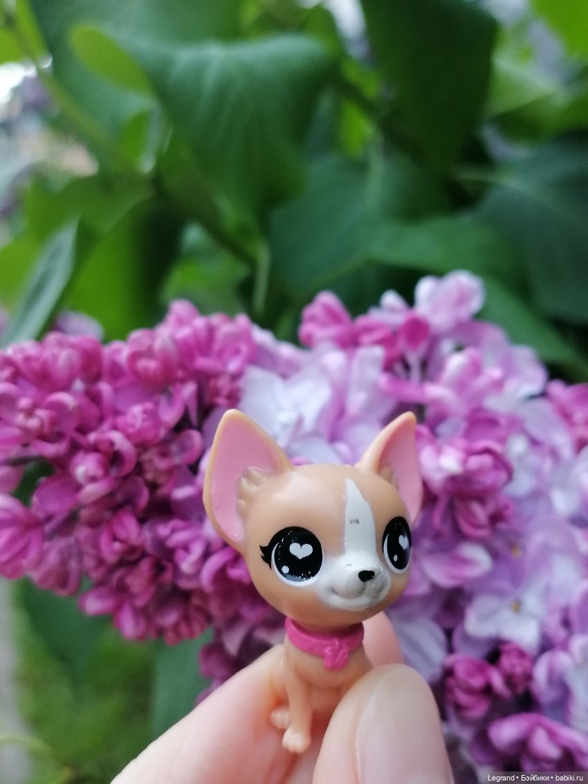 Санкт-Петербург: Ванилька в Парадном🌸