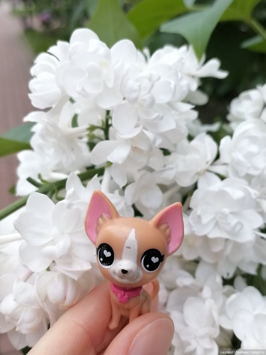 Санкт-Петербург: Ванилька в Парадном🌸