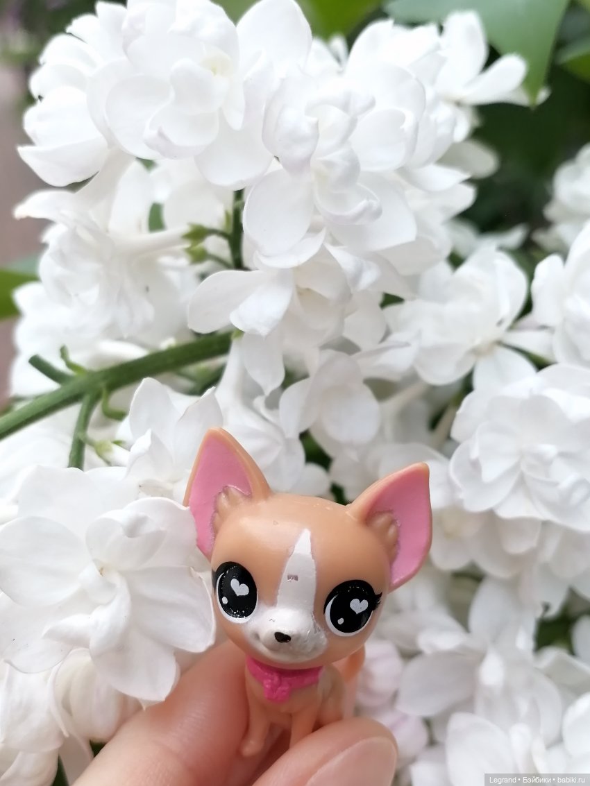 Санкт-Петербург: Ванилька в Парадном🌸